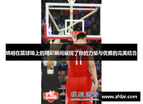 姚明在篮球场上的精彩瞬间展现了他的力量与优雅的完美结合